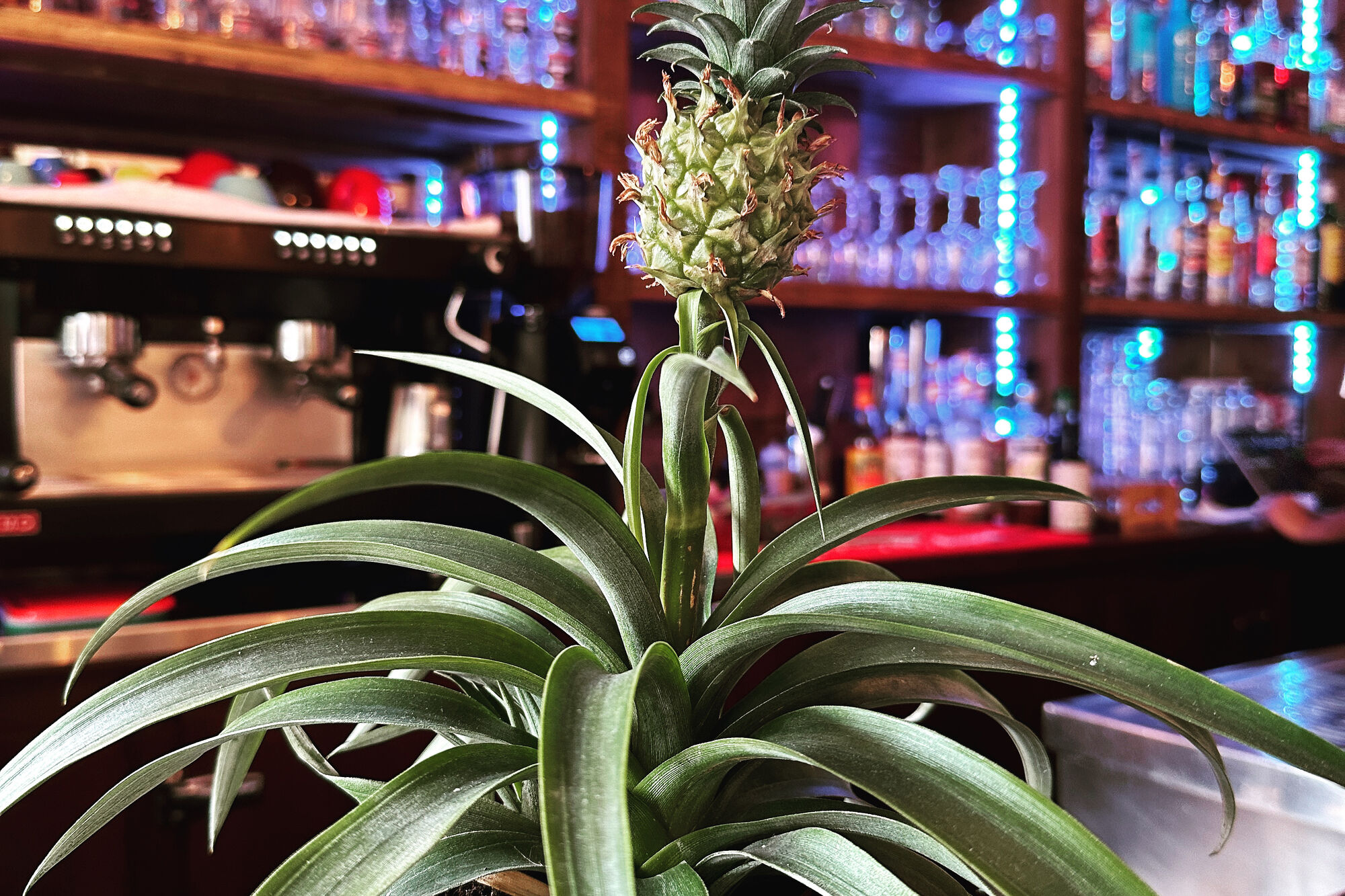 Restaurant Kanasuk créole Paris